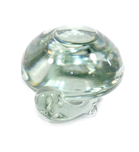 Load image into Gallery viewer, Vintage clear solid glass heavy turtle paperweight
