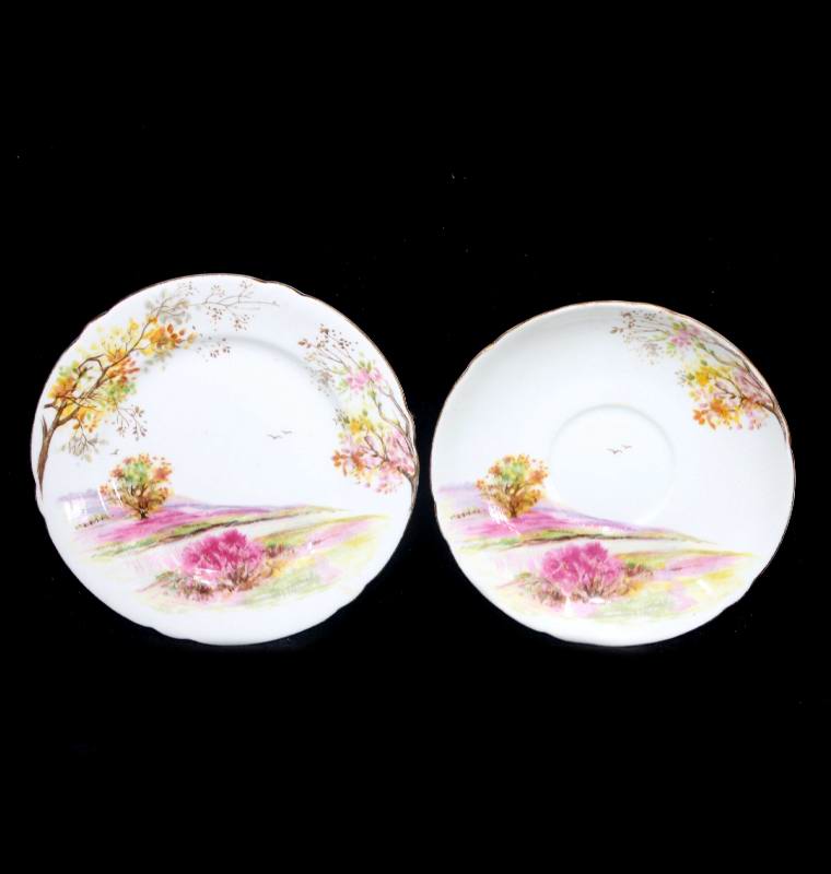 Vintage Shelley England OLD IRELAND 13657 saucer and plate set