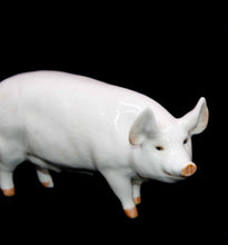 Load image into Gallery viewer, Vintage BESWICK England CHAMPION WALL QUEEN sow pig figurine

