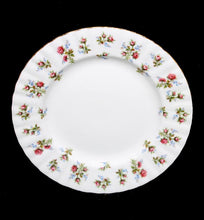 Load image into Gallery viewer, Vintage Royal Albert Winsome England set of 6 entree or salad plates
