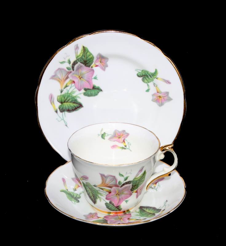 Vintage Regency England bone china pretty pink flowers teacup trio