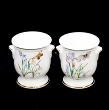Load image into Gallery viewer, Vintage ROYAL CROWN DUCHY England HELEN PHILLIPS pair of beautiful little urn vases
