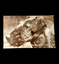 Load image into Gallery viewer, Vintage Windsor AIREDALE TERRIER 1930s postcard
