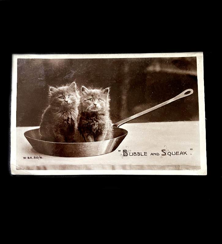Vintage 1920s W&R BUBBLE & SQUEAK cute kittens cats photograph postcard