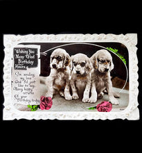 Load image into Gallery viewer, Vintage 1938 Windsor photograph postcard BIRTHDAY WISHES spaniel puppies card
