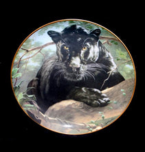 Load image into Gallery viewer, Vintage Franklin Mint SILENT WATCH Peter Skirka black big cat collector&#39;s plate
