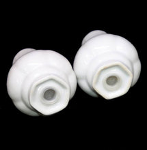 Load image into Gallery viewer, Vintage Crown Royal fine porcelain country roses salt &amp; pepper shakers pots

